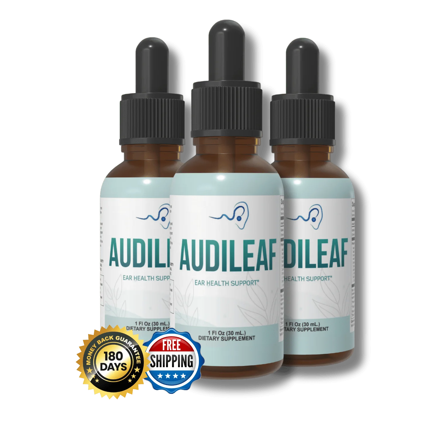 AudiLeaf7